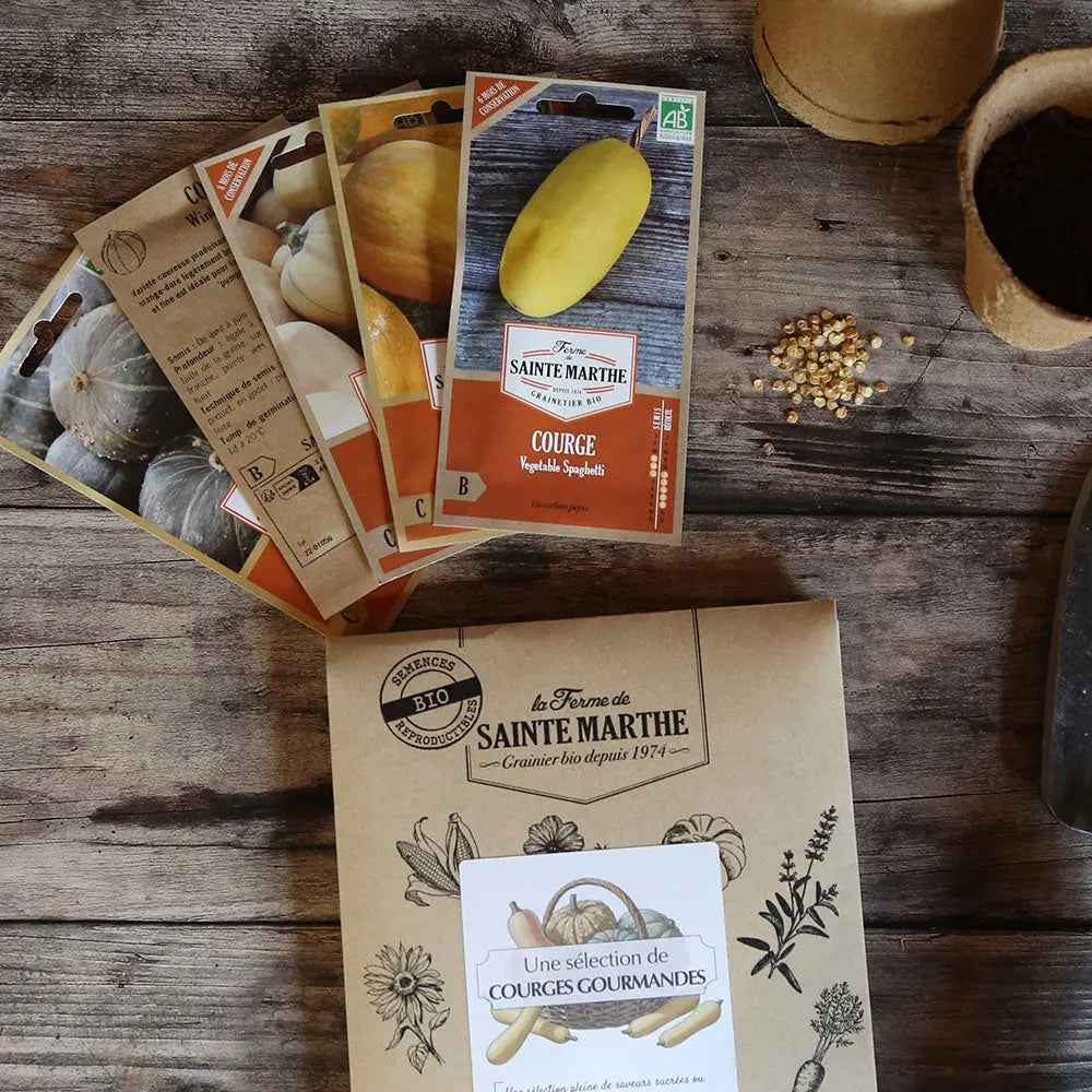 ASSORTIMENT DE COURGES GOURMANDES 