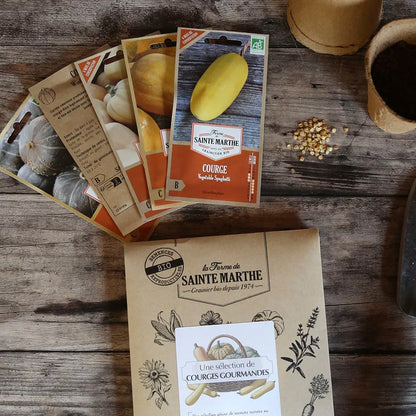 ASSORTIMENT DE COURGES GOURMANDES 