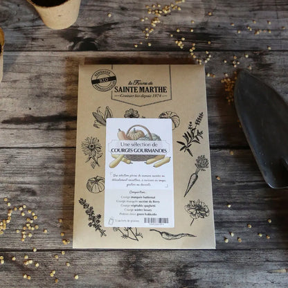 ASSORTIMENT DE COURGES GOURMANDES 