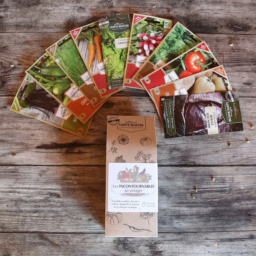 ASSORTIMENT DE GRAINES DES INCONTOURNABLES AU POTAGER