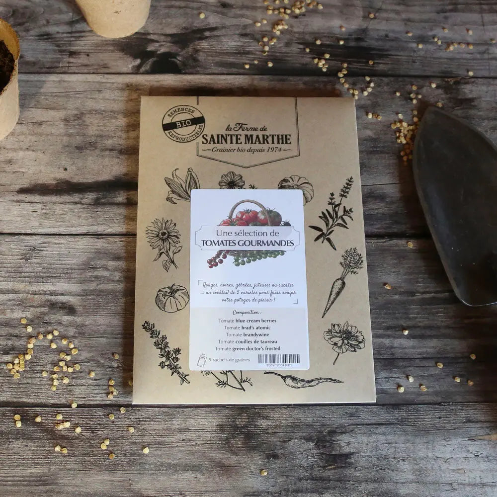ASSORTIMENT DE TOMATES GOURMANDES 