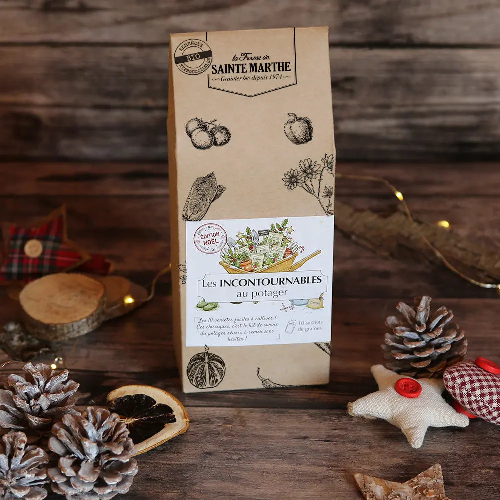 ASSORTIMENT LES INCONTOURNABLES - ÉDITION NOËL 2025 