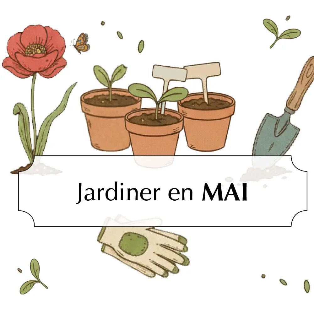 ASSORTIMENT POUR JARDINER EN MAI 