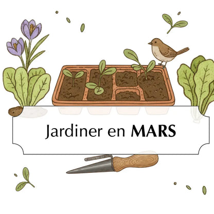ASSORTIMENT POUR JARDINER EN MARS 