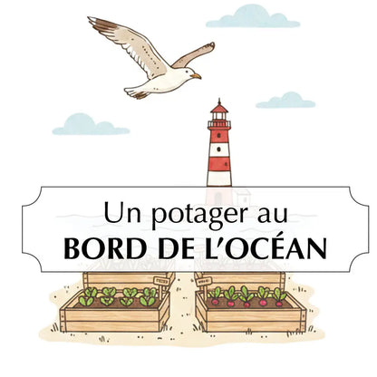 ASSORTIMENT POUR UN POTAGER AU BORD DE L'OCÉAN 