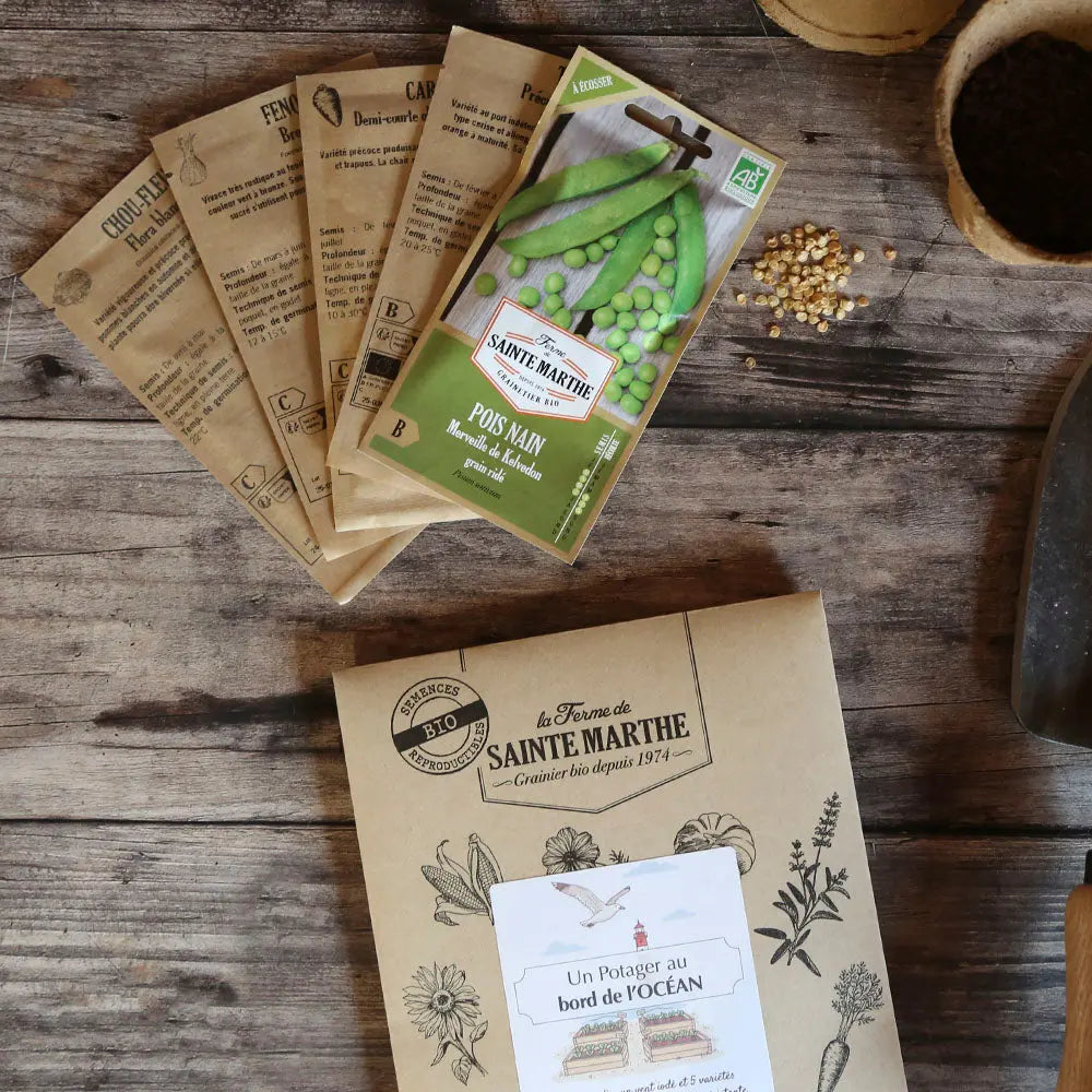 ASSORTIMENT POUR UN POTAGER AU BORD DE L'OCÉAN 