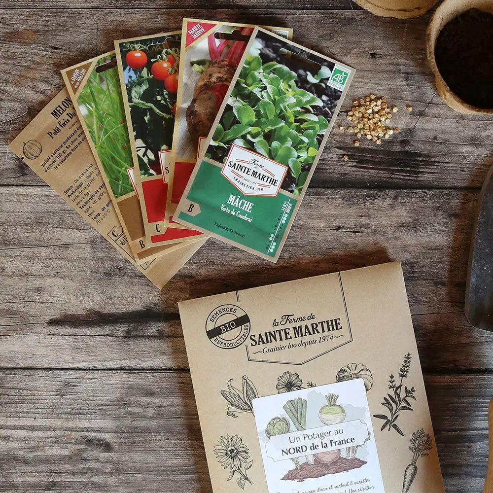 ASSORTIMENT POUR UN POTAGER DANS LE NORD DE LA FRANCE 