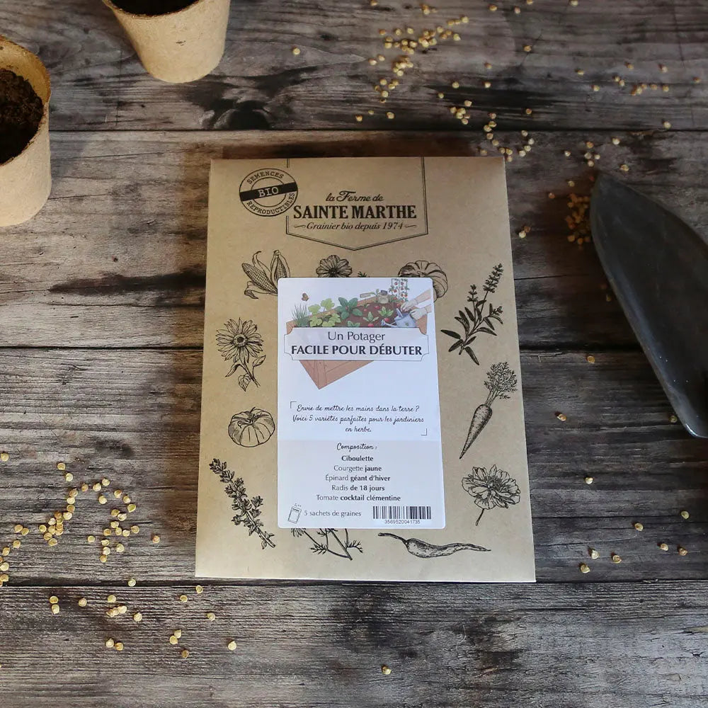 ASSORTIMENT POUR UN POTAGER FACILE POUR DÉBUTER 