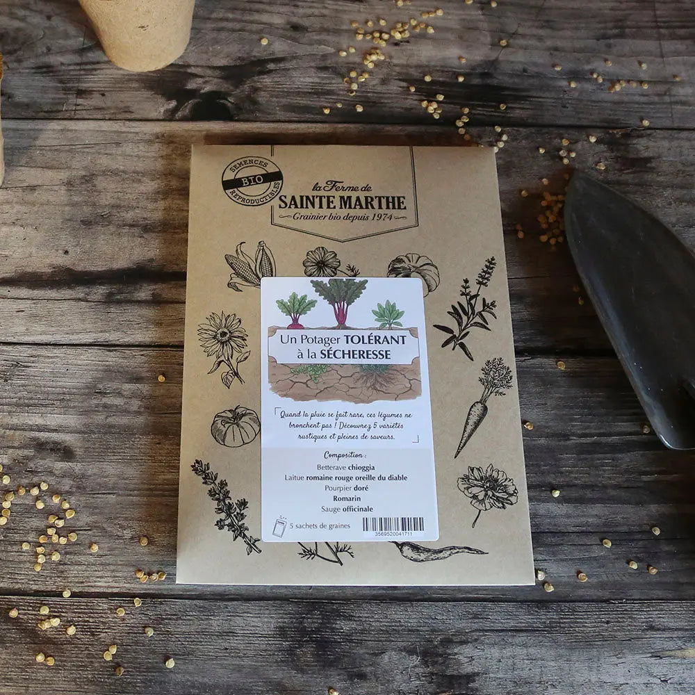 ASSORTIMENT POUR UN POTAGER TOLÉRANT LA SÉCHERESSE 