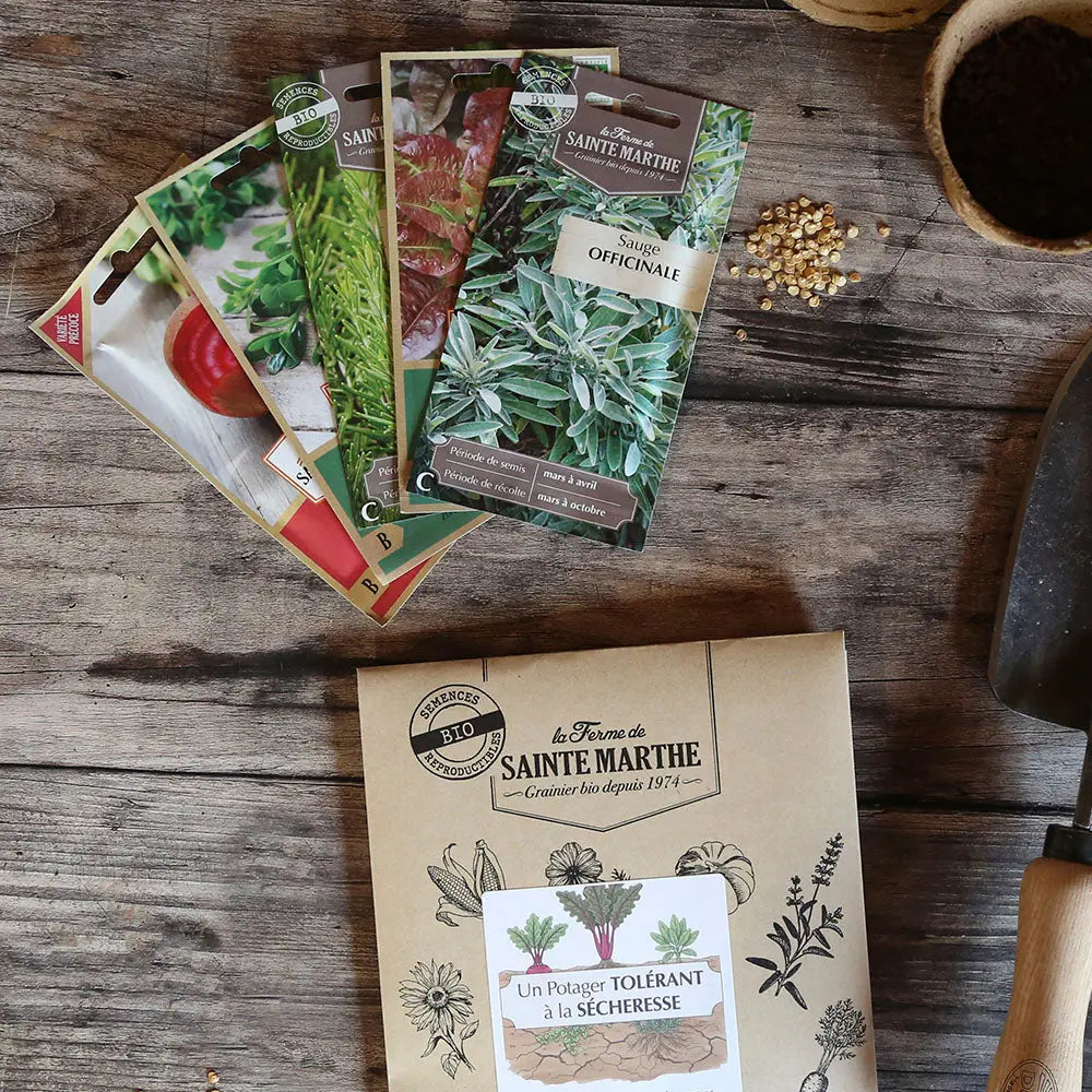 ASSORTIMENT POUR UN POTAGER TOLÉRANT LA SÉCHERESSE 