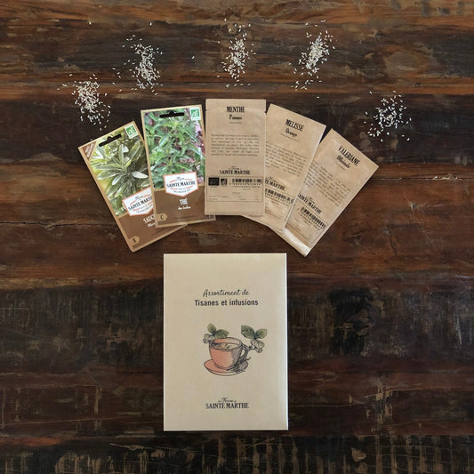 ASSORTIMENT TISANES ET INFUSIONS 
