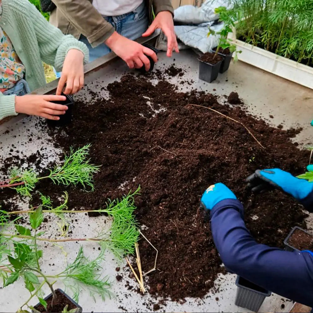 ATELIER DE JARDINAGE - LE JARDIN EN FAMILLE - 30 MAI 2026 
