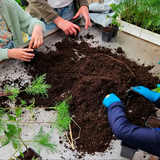 ATELIER DE JARDINAGE - LE JARDIN EN FAMILLE - 30 MAI 2026 
