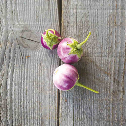 thai lavender frog egg eggplant seeds Graines d'Aubergine Thaï Lavender Frog Egg Bio – La Ferme de Sainte Marthe