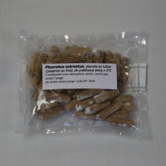 200 chevilles - pleurote d'été bio – La Ferme de Sainte Marthe