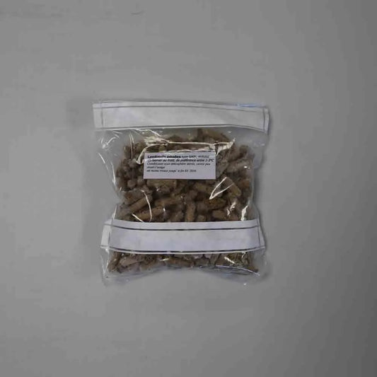 200 chevilles - shiitake bio – La Ferme de Sainte Marthe