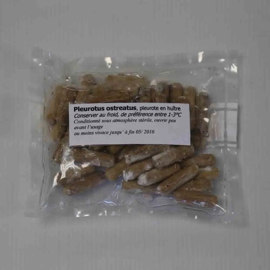 50 chevilles - pleurote en forme d'huître bio – La Ferme de Sainte Marthe