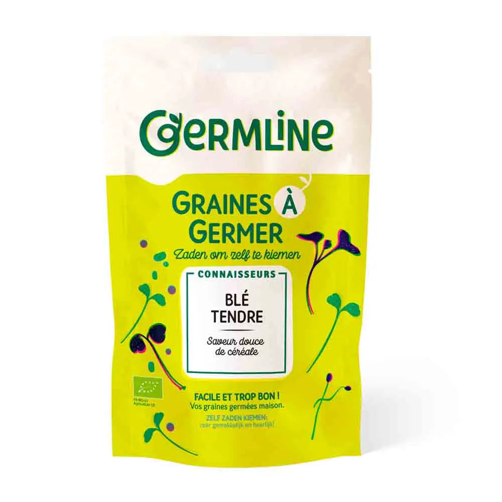 Blé bio – La Ferme de Sainte Marthe