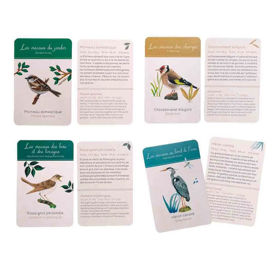 Coffret découverte oiseaux – La Ferme de Sainte Marthe