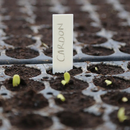 Étiquettes de semis compostables – La Ferme de Sainte Marthe
