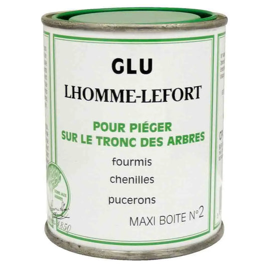 Glu arboricole – La Ferme de Sainte Marthe