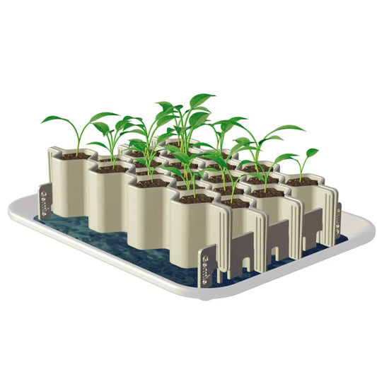 Kit de germination 25 plants graines moyennes – La Ferme de Sainte Marthe