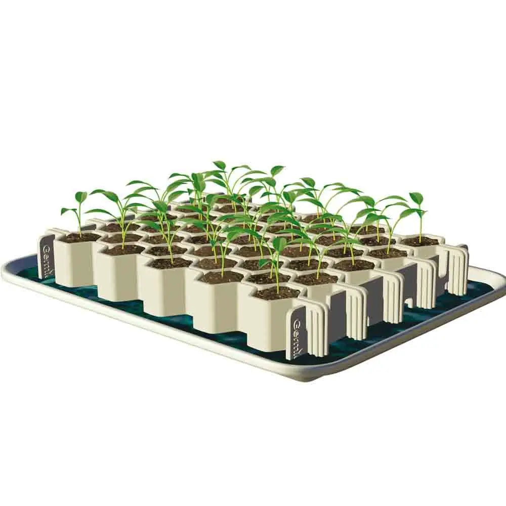 Kit de germination 41 minimottes petites graines – La Ferme de Sainte Marthe