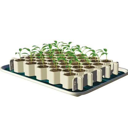 Kit de germination 41 minimottes petites graines – La Ferme de Sainte Marthe