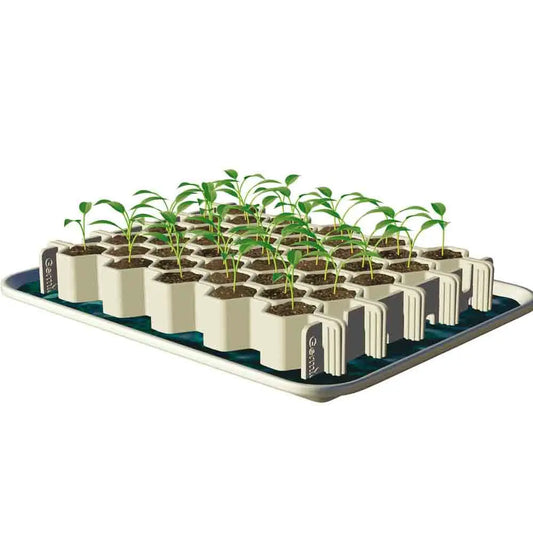 Kit de germination 41 minimottes petites graines – La Ferme de Sainte Marthe