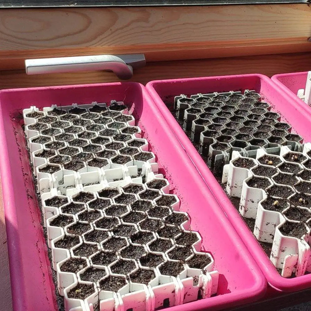 Kit de germination 41 minimottes petites graines – La Ferme de Sainte Marthe