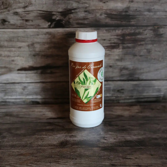 Pur jus de consoude – La Ferme de Sainte Marthe