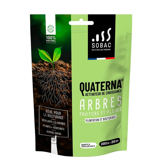 Quaterna - fruitiers, arbres, fleurs – La Ferme de Sainte Marthe