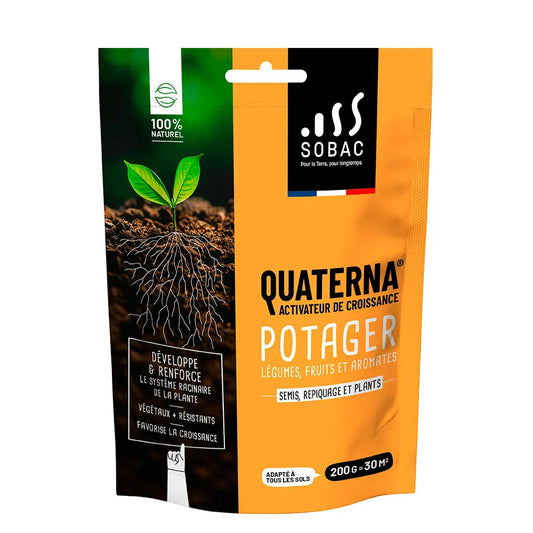 Quaterna - potager – La Ferme de Sainte Marthe
