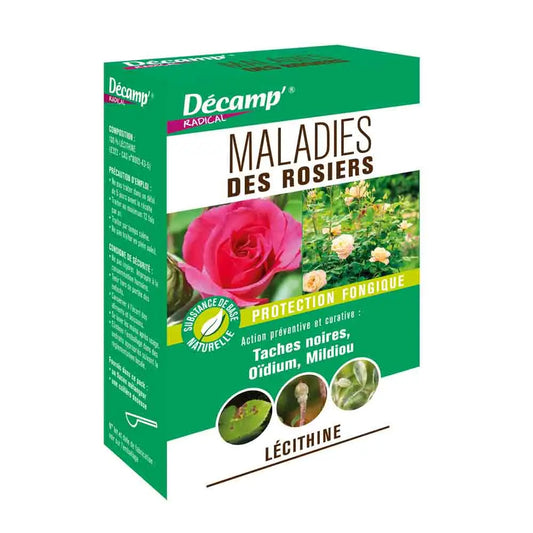 Traitement maladies rosiers (taches noires, mildiou, oïdium) – La Ferme de Sainte Marthe