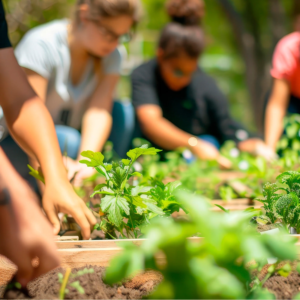 ATELIER DE JARDINAGE - LE POTAGER EST DE RETOUR 