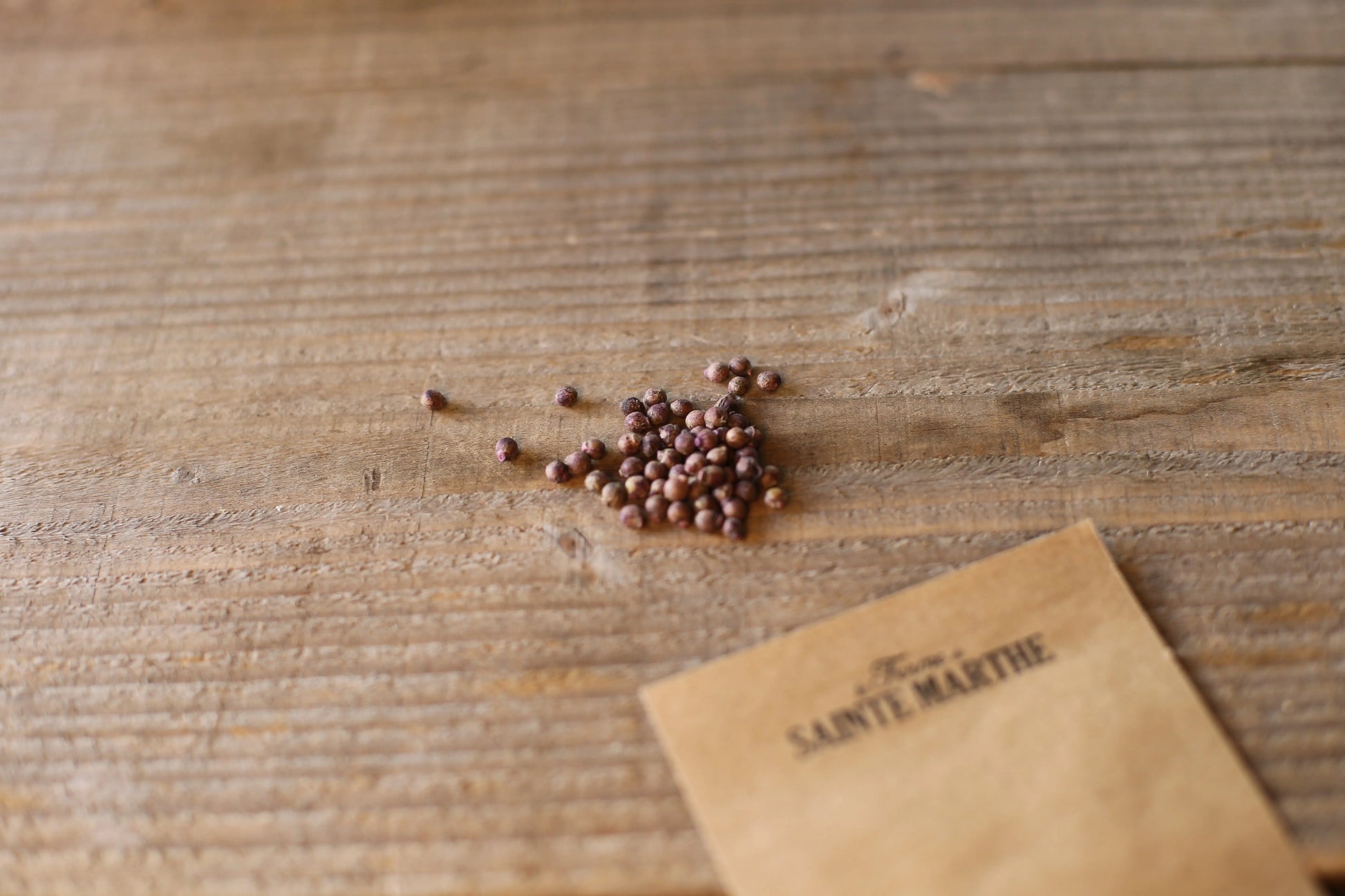 BASELLE ALBA OU EPINARD DE MALABAR AB - ANTIGASPI 