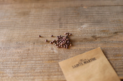 BASELLE ALBA OU EPINARD DE MALABAR AB - ANTIGASPI 