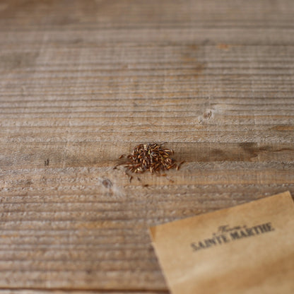 BENOITE SAUVAGE AB - ANTIGASPI 