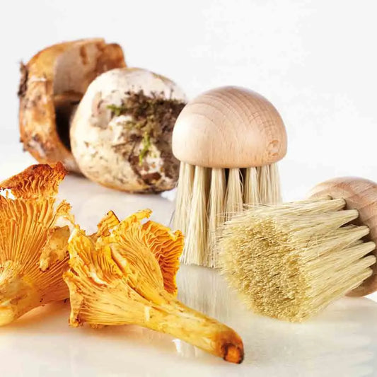 BROSSE A CHAMPIGNONS 