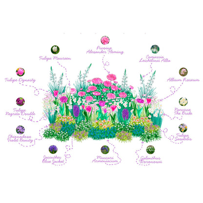 PLAQUE DE BULBES POUR MASSIF - TENDRE PRINTEMPS 