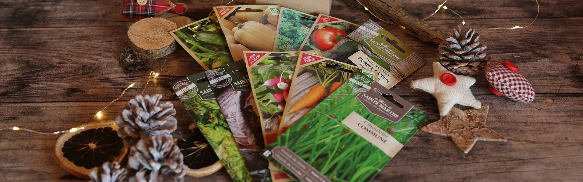 Welcome to our new website!