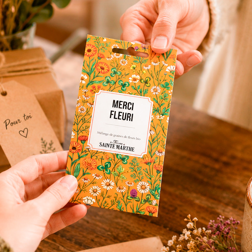 SACHET "BELLES ATTENTIONS" - UN GESTE FLEURI AB 