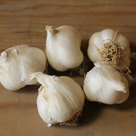 Bulbes d'ail rose sans bâton cristo – La Ferme de Sainte Marthe