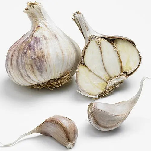 Bulbes d'ail violet valdour – La Ferme de Sainte Marthe