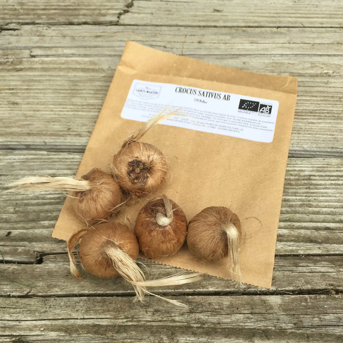 Bulbes de crocus sativus bulbe de crocus à safran bio – La Ferme de Sainte Marthe