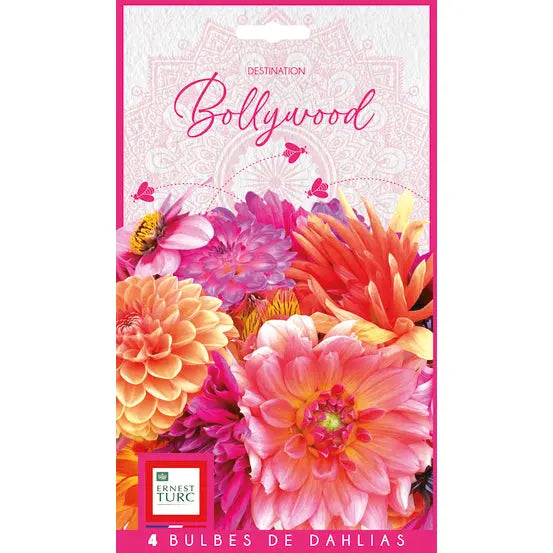 Bulbes de dahlia bollywood (assortiment) – La Ferme de Sainte Marthe