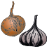 Bulbes potagers et tubercules