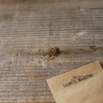 CELERI À CÔTES VIOLET DE TOURS AB