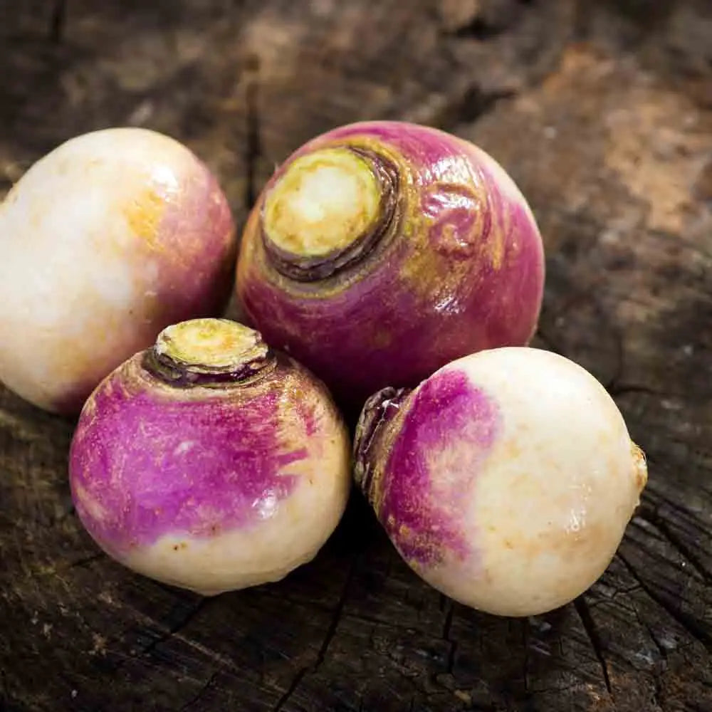 CHOU NAVET RUTABAGA FRIESE GELE AB 