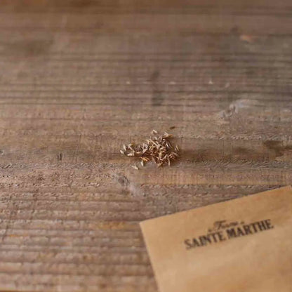 CITRONNELLE OU VERVEINE DES INDES NT 